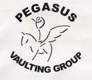 Pegasus Vaulting Group logo